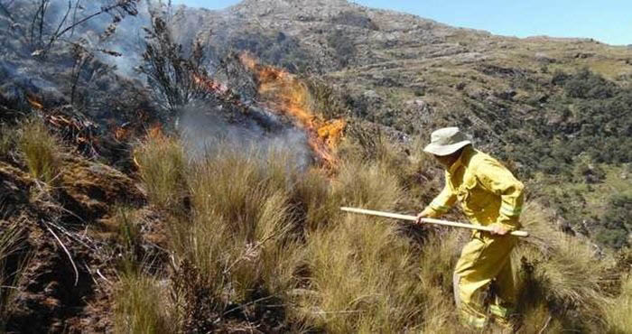 Madre de Dios: incendios forestales pueden ser peores que los que devastaron 20 mil has. de bosques